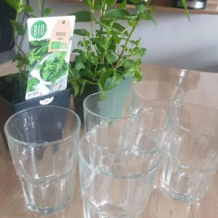 Maisonnette Individuelle Pour 4 Personnes 2 Terrasse - Design & Haute Qualite