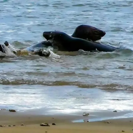 Maisonnette Individuelle Pour 4 Personnes 2 Terrasse - Design & Haute Qualite Holiday home