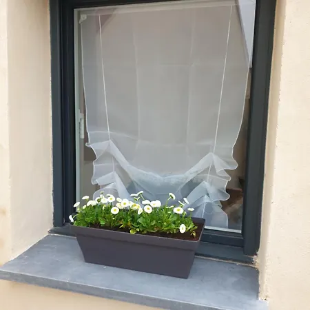 Feriehus Maisonnette Individuelle Pour 4 Personnes 2 Terrasse - Design & Haute Qualite Bourbourg